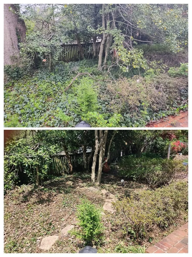 Affordable garden landscaping in Springfield, VA by New Earth Landscaping