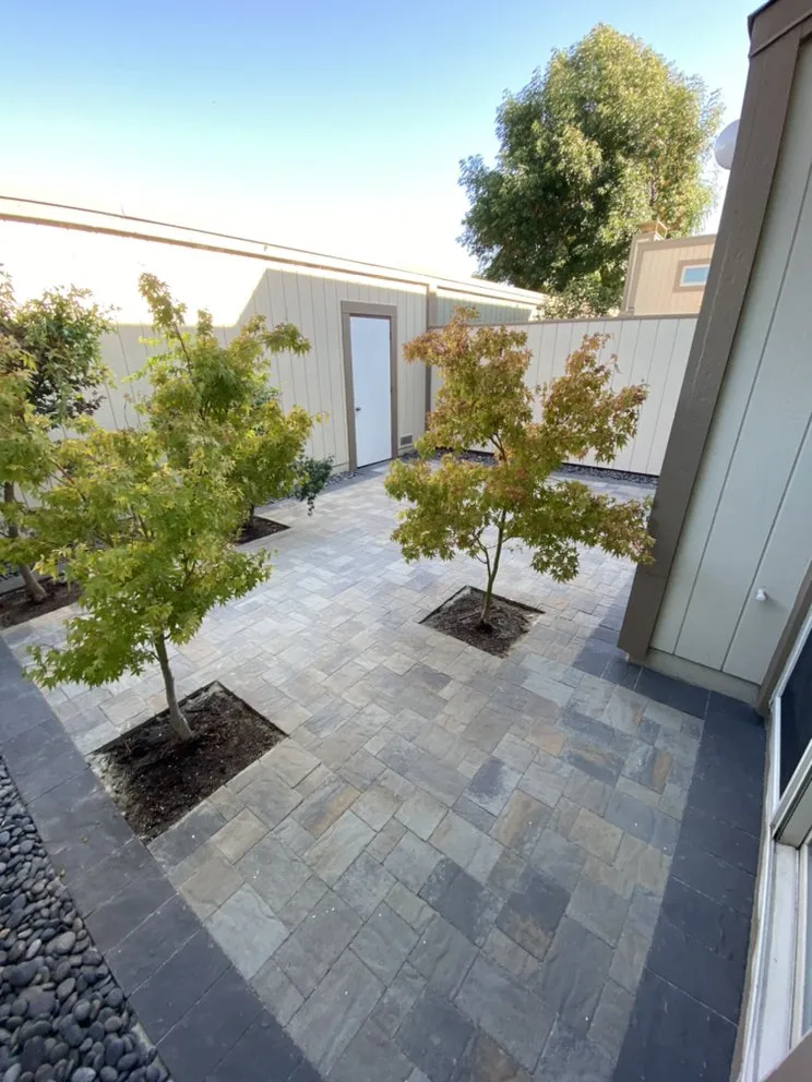 Local lawn care service for homes across Walnut Creek, CA - New Earth Landscaping