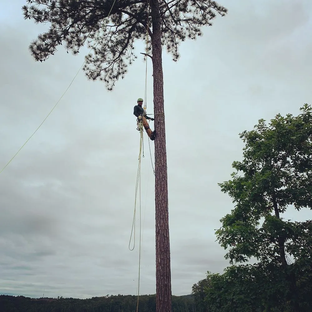 Trusted landscape design for year-round maintenance in Lilburn, GA by New eco Landscape