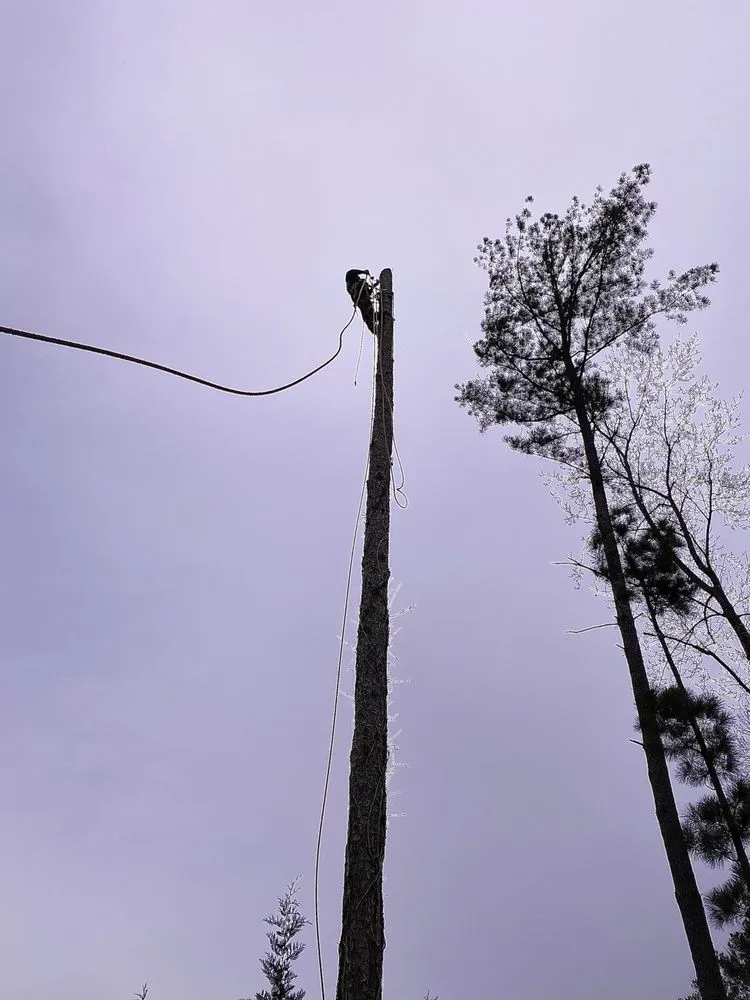 Affordable landscape design in Lilburn, GA - New eco Landscape