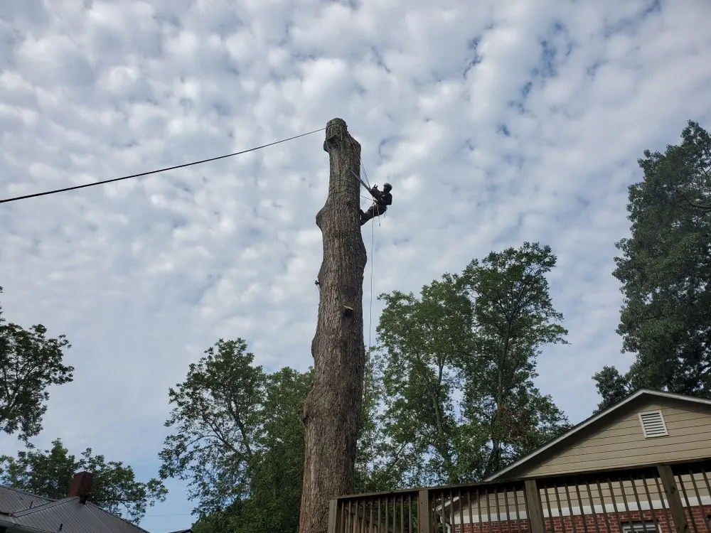 Affordable landscaping services experts serving Lilburn, GA - New eco Landscape