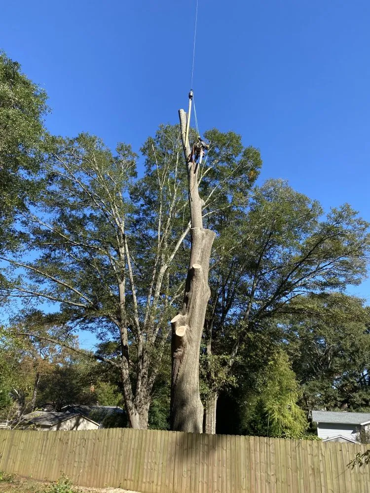 Top-rated yard cleanup service in Lilburn, GA by New eco Landscape