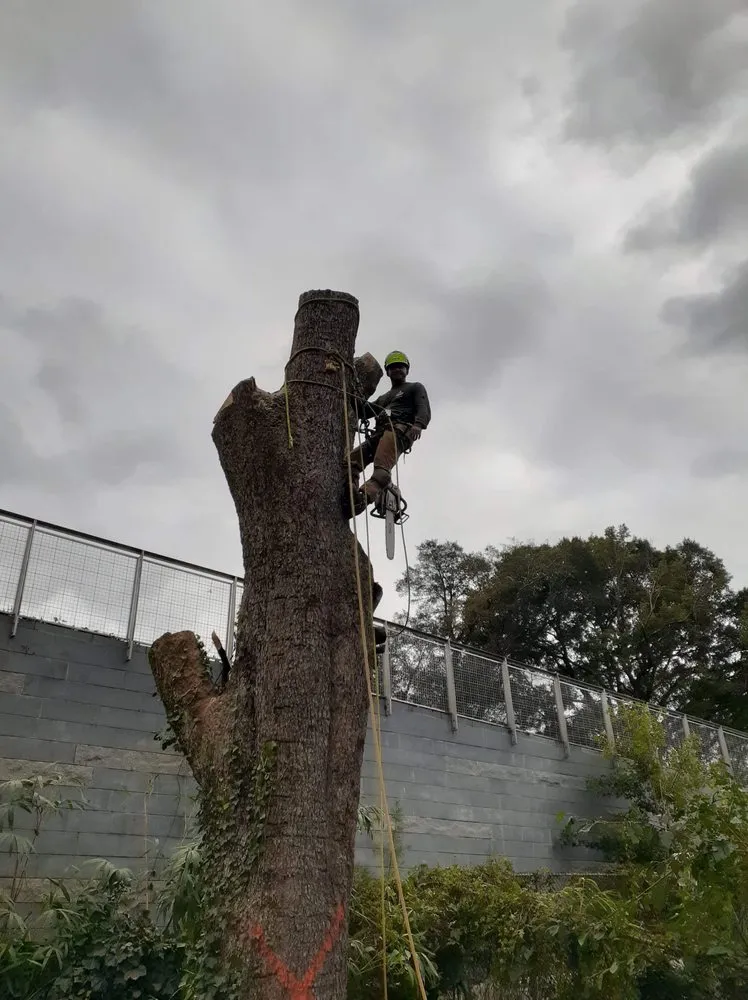 Professional lawn mowing service in Lilburn, GA by New eco Landscape