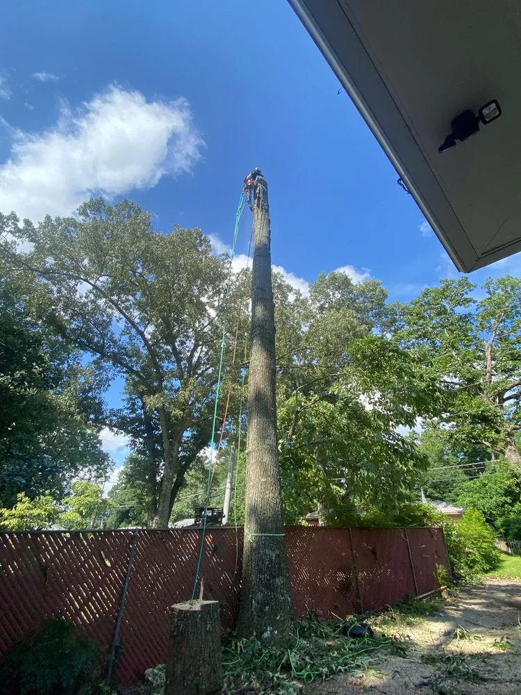 Reliable outdoor landscaping in Lilburn, GA - New eco Landscape