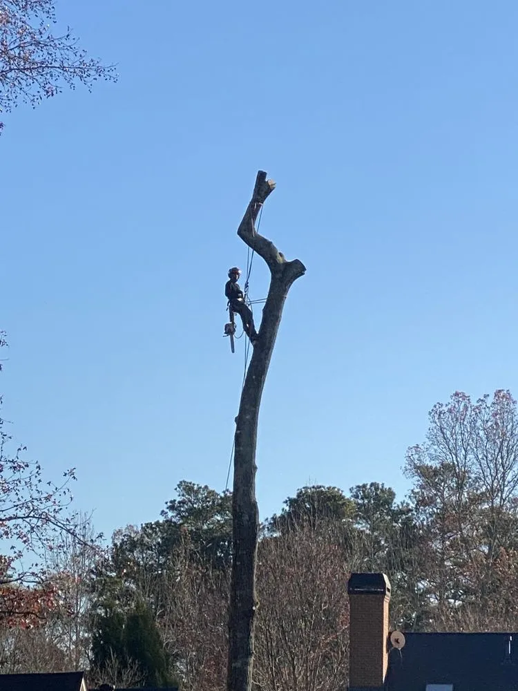 Custom yard maintenance experts serving Lilburn, GA - New eco Landscape