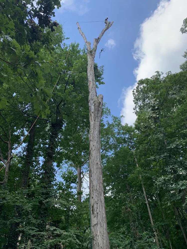 Professional lawn mowing service experts serving Lilburn, GA - New eco Landscape