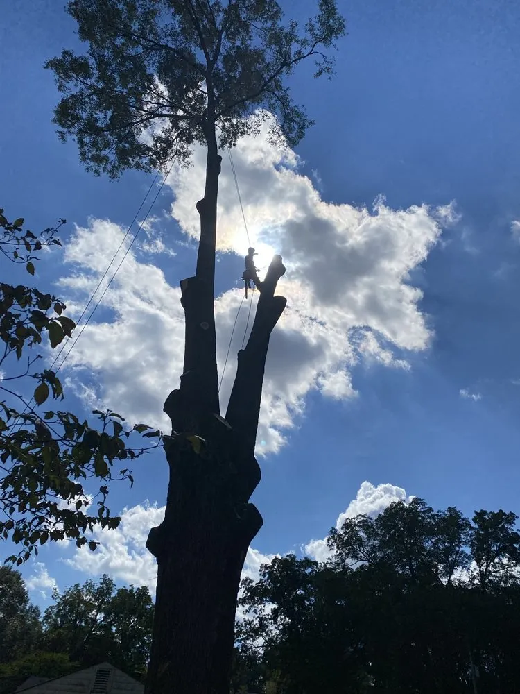 Top-rated lawn mowing service in Lilburn, GA - New eco Landscape