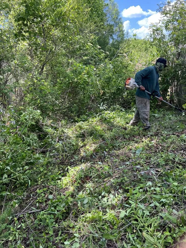 Affordable residential landscaping in Lilburn, GA by New eco Landscape