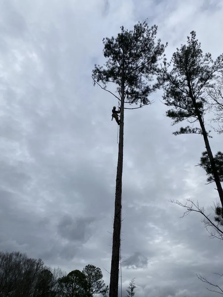 Affordable yard cleanup service experts serving Lilburn, GA - New eco Landscape