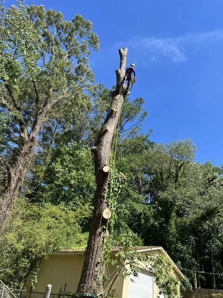 Custom yard maintenance in Lilburn, GA - New eco Landscape