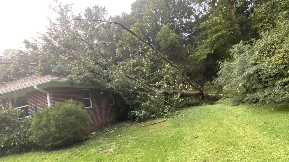 Local lawn mowing service in Lilburn, GA - New eco Landscape