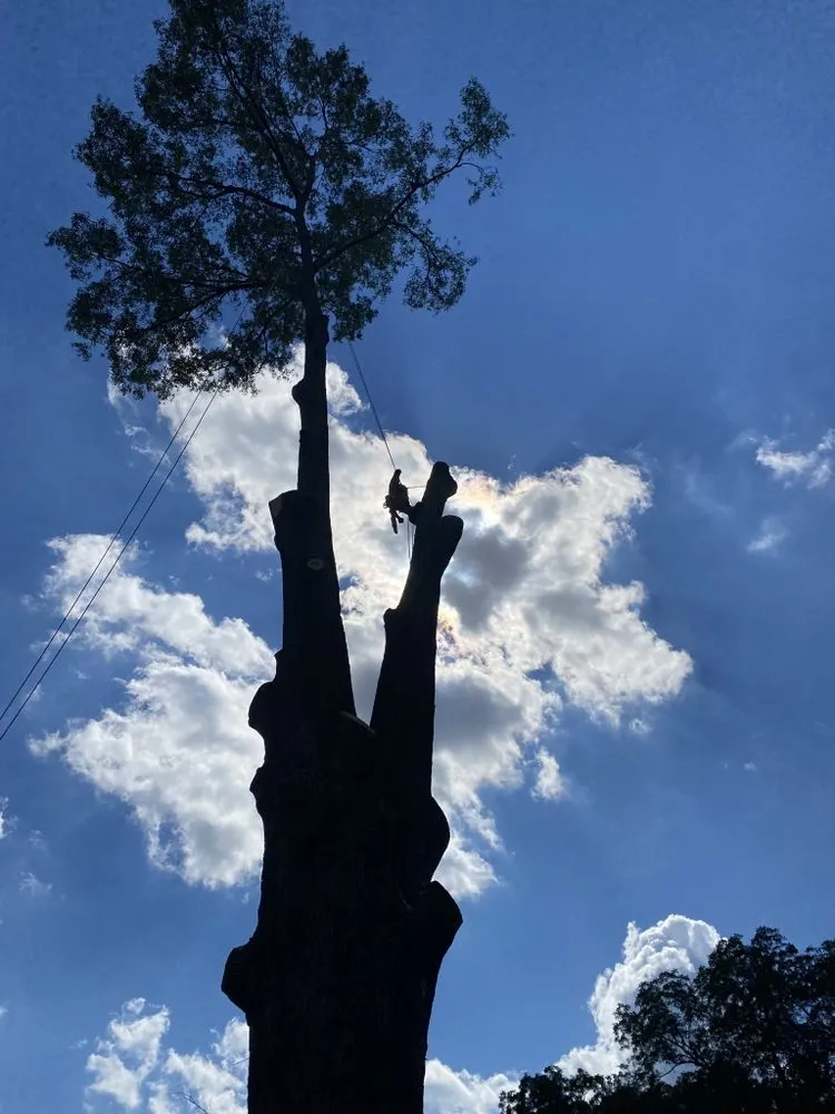 Expert landscape installation in Lilburn, GA - New eco Landscape