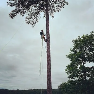 New eco Landscape Logo