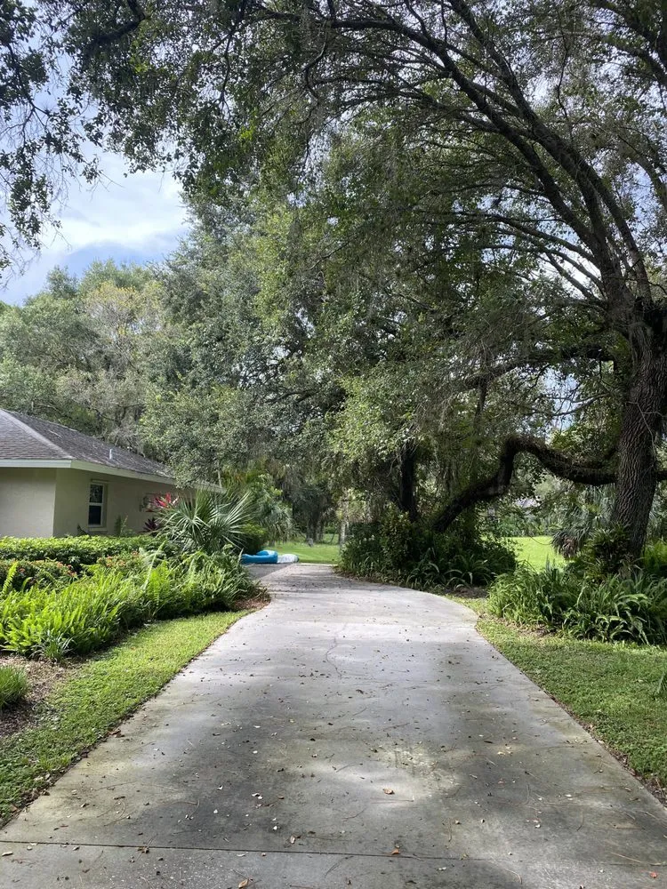 Reliable outdoor landscaping in Lehigh Acres, FL - New Eco Landscape Services