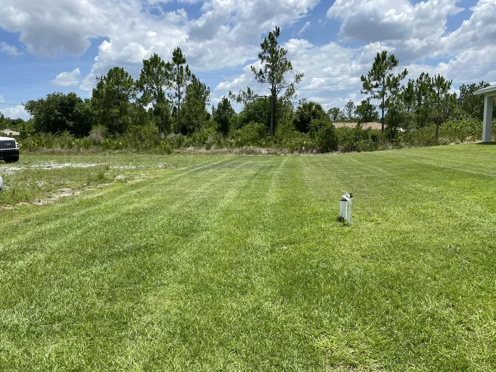 Reliable residential landscaping for beautiful yards in Lehigh Acres, FL by New Eco Landscape Services