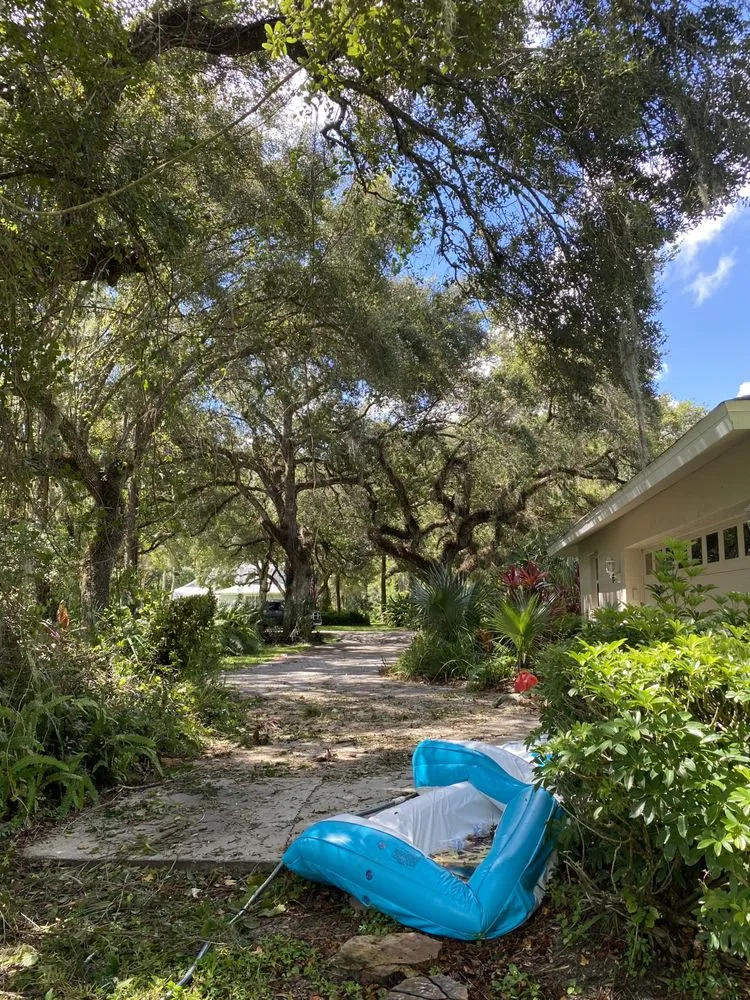 Trusted outdoor landscaping for year-round maintenance in Lehigh Acres, FL by New Eco Landscape Services