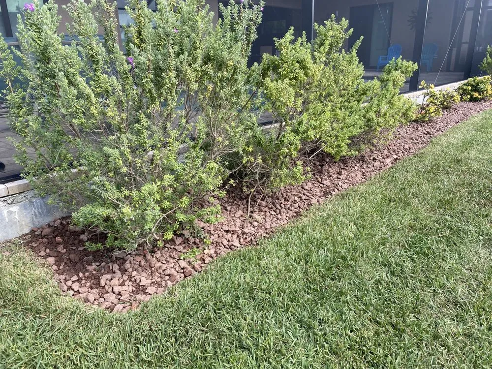 Local yard maintenance near you in Lehigh Acres, FL by New Eco Landscape Services
