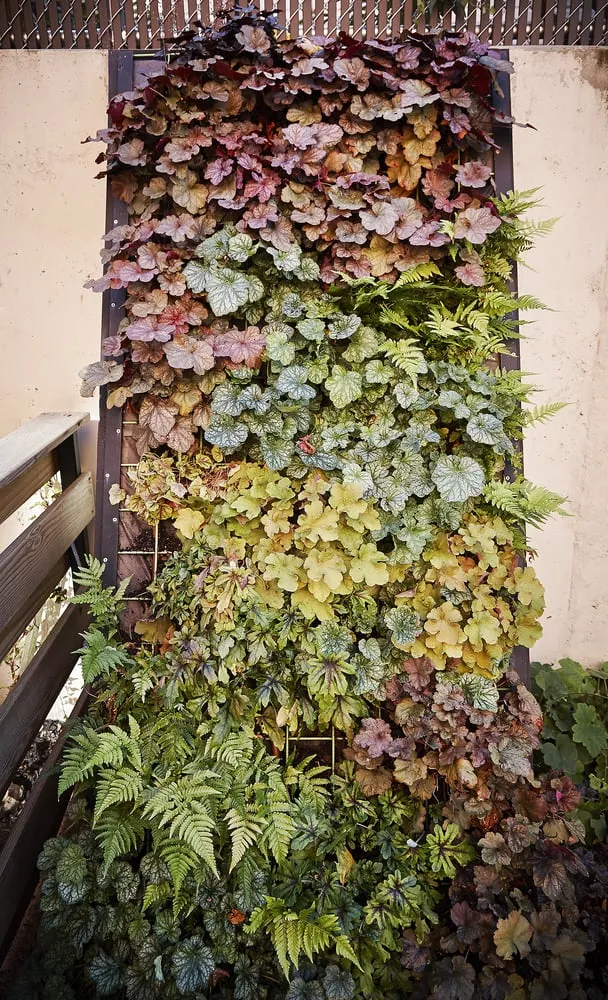 Local garden landscaping experts serving Brooklyn, NY - New Eco Landscapes