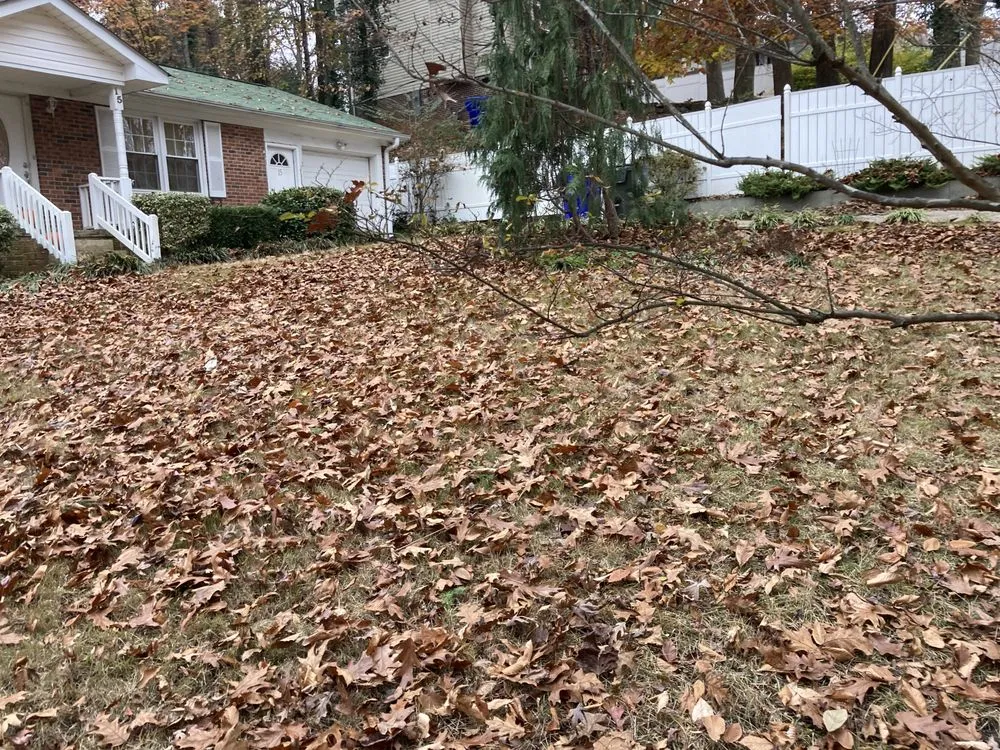 Trusted lawn care service in Taylors, SC by New Eden Landscapes