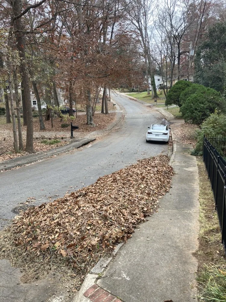 Top-rated landscaping services experts serving Taylors, SC - New Eden Landscapes