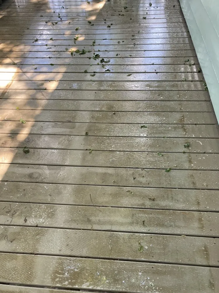 Top-rated yard cleanup service with custom design in Taylors, SC by New Eden Landscapes