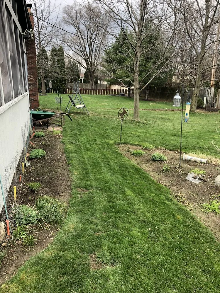 Expert yard maintenance for year-round maintenance in Columbus, OH by New Edens tree service and landscaping