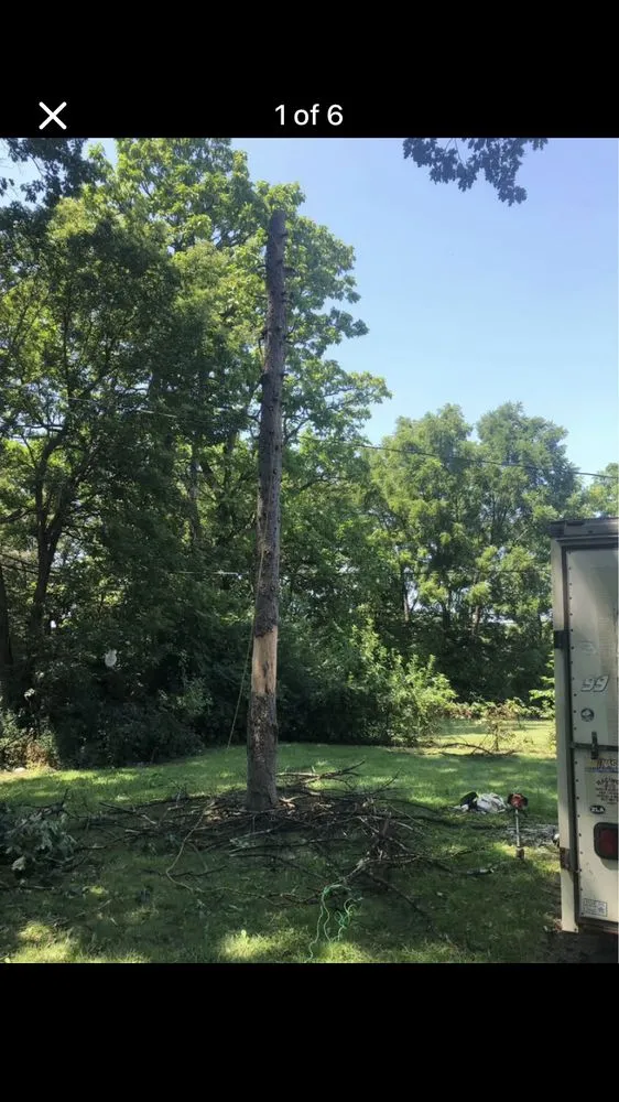 Trusted landscaping services in Columbus, OH - New Edens tree service and landscaping
