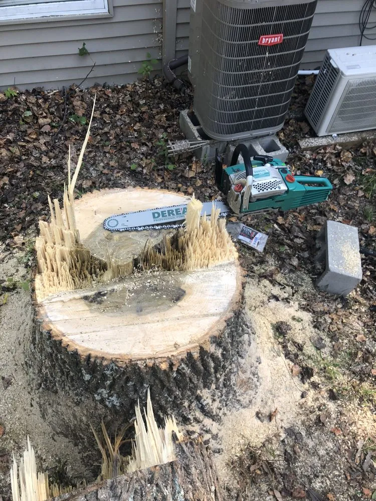 Expert landscape design in Columbus, OH - New Edens tree service and landscaping