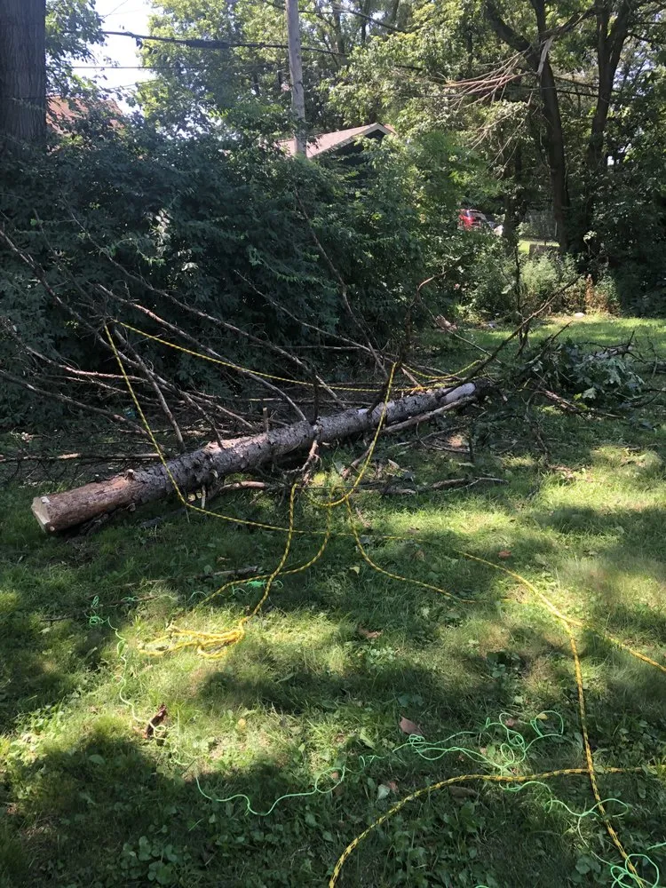 Trusted outdoor landscaping near you across Columbus, OH - New Edens tree service and landscaping