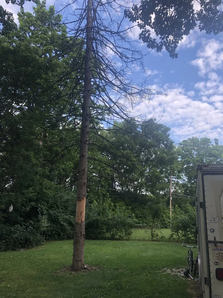 Custom residential landscaping for homes in Columbus, OH by New Edens tree service and landscaping