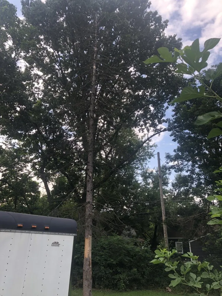 Local yard maintenance for beautiful yards in Columbus, OH by New Edens tree service and landscaping