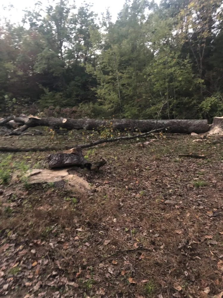 Custom lawn mowing service for residential properties across Columbus, OH - New Edens tree service and landscaping