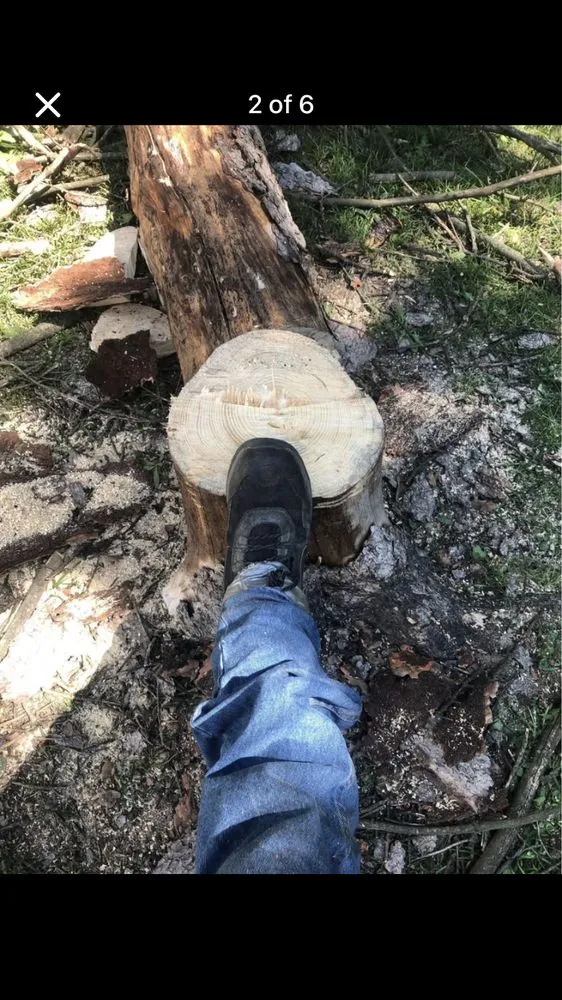 Expert outdoor landscaping for beautiful yards in Columbus, OH by New Edens tree service and landscaping