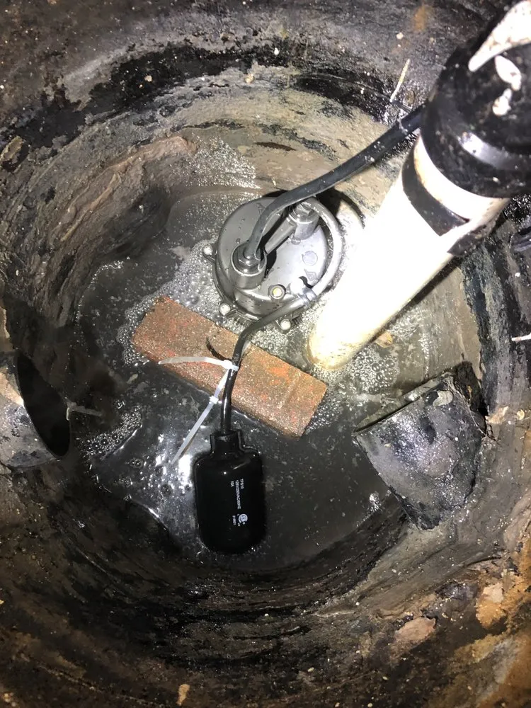 Expert landscape design in Columbus, OH by New Edens tree service and landscaping