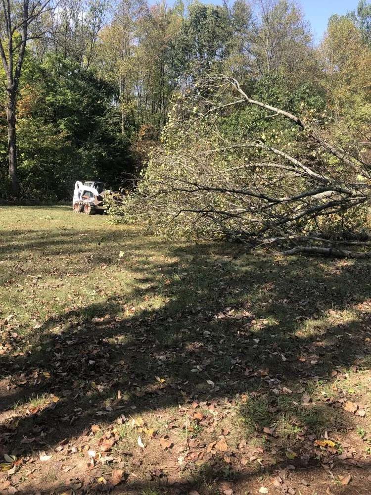 Reliable landscape installation in Columbus, OH - New Edens tree service and landscaping