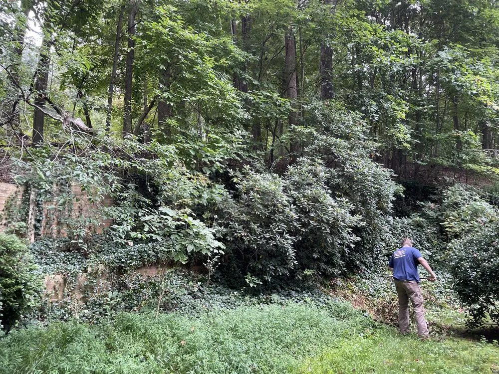 Affordable garden landscaping in Greensboro, NC - New Edge Earth Works