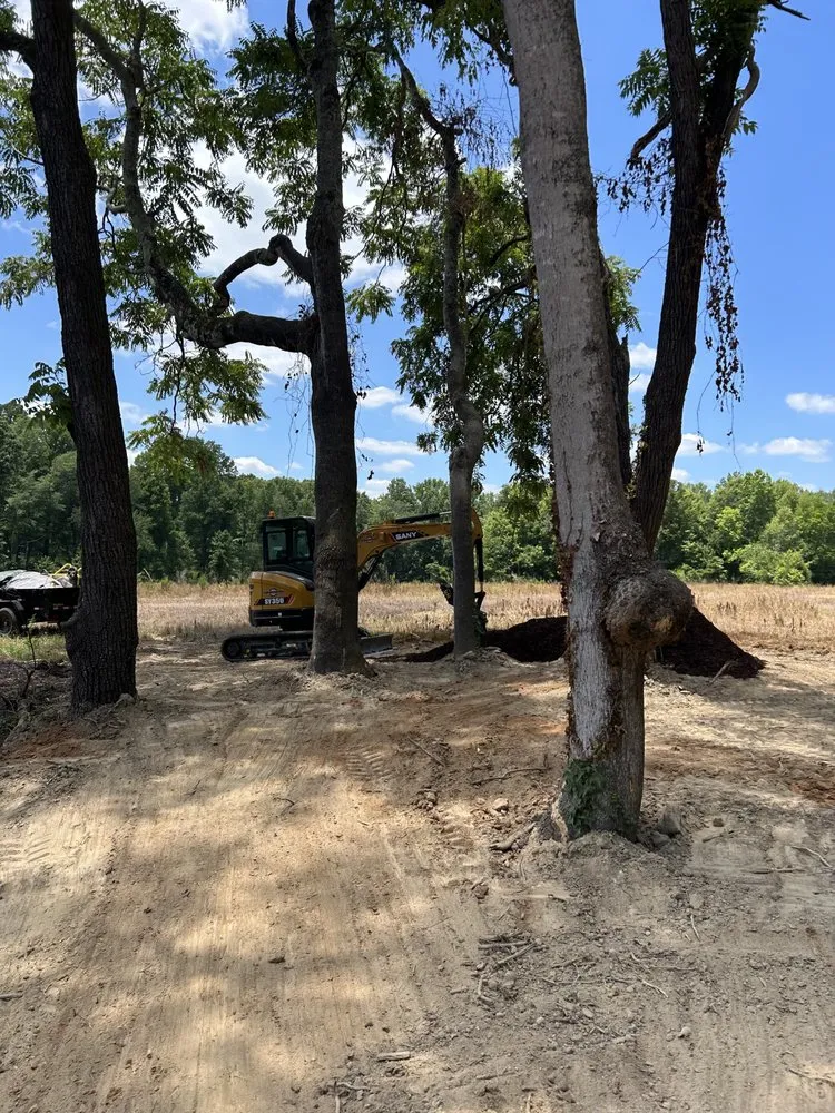 Local landscape design for year-round maintenance in Greensboro, NC by New Edge Earth Works