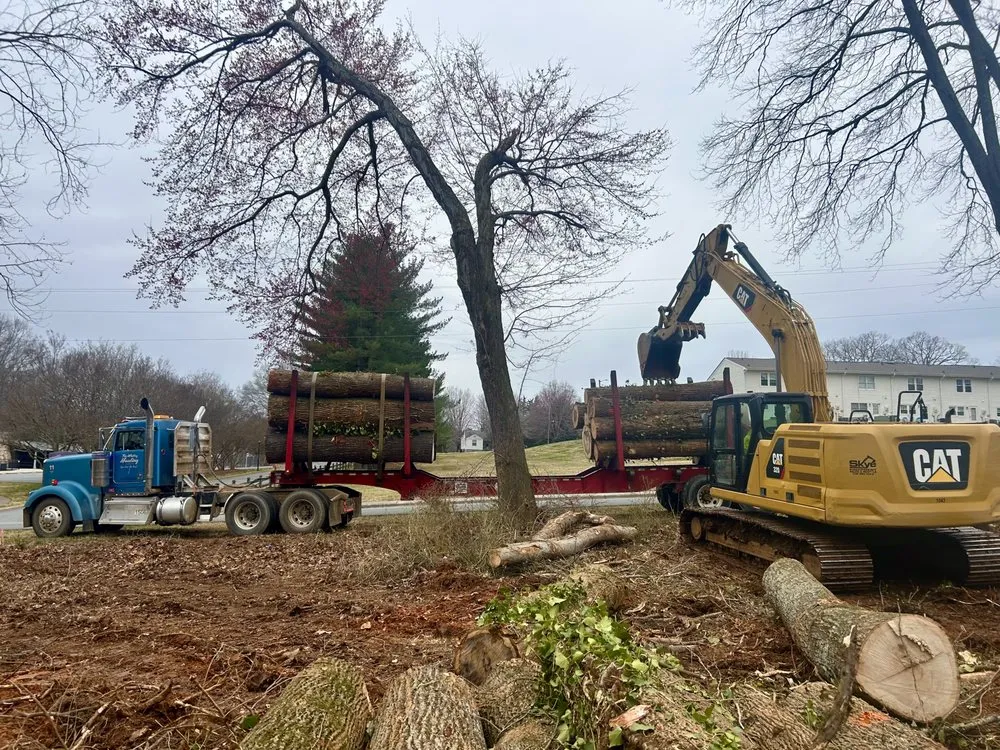 Trusted yard cleanup service for outdoor upgrades across Greensboro, NC - New Edge Earth Works