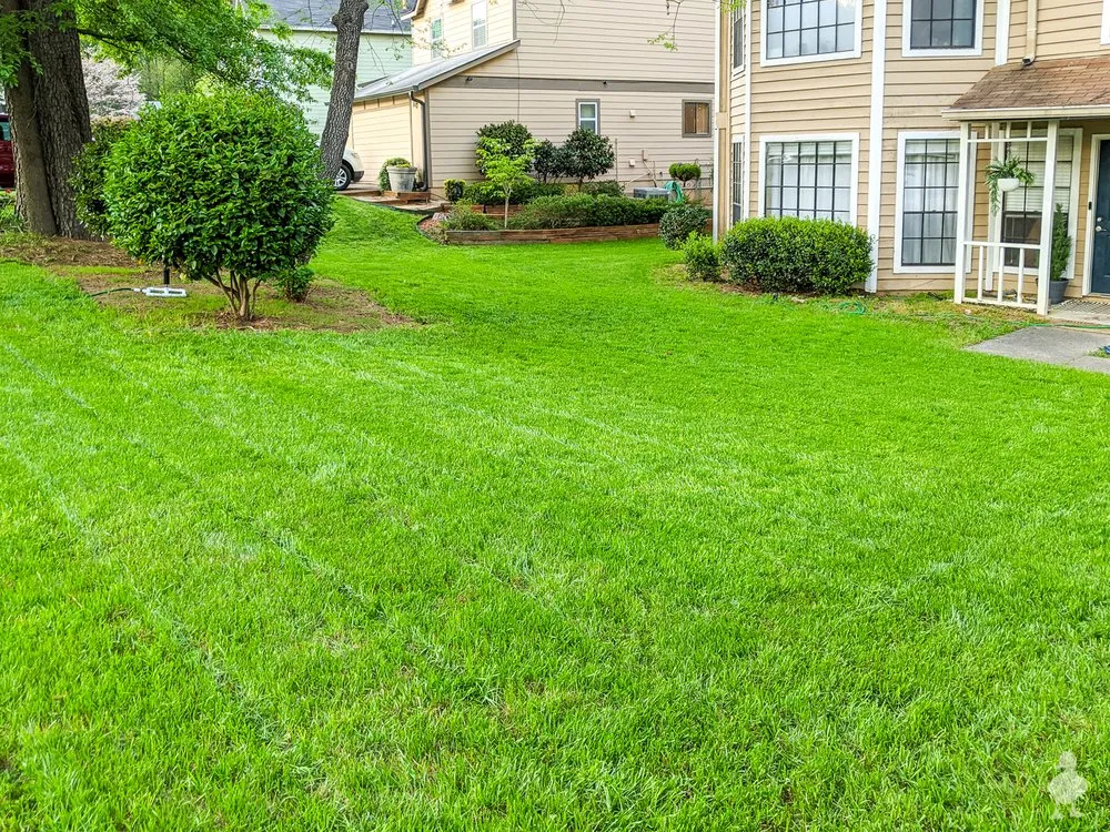 Expert landscape design for beautiful yards in Joplin, MO by New Edge Lawn Care