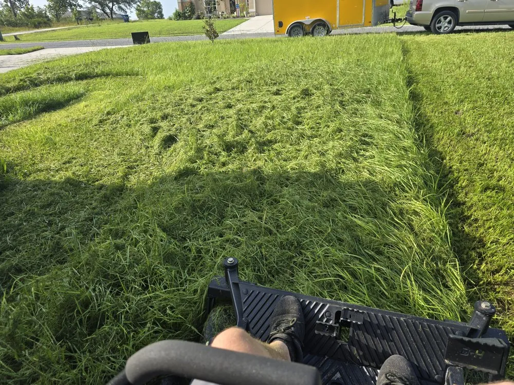 Affordable residential landscaping in Spring Hill, FL by New Edge Lawn Care