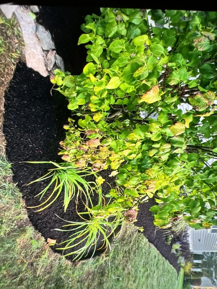 Reliable garden landscaping for residential properties across Haverhill, MA - New England Custom- Home & Yard