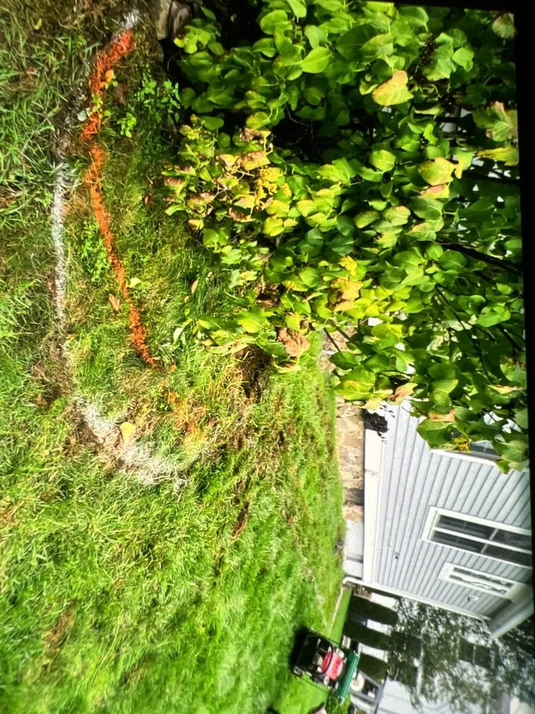 Custom landscaping services in Haverhill, MA - New England Custom- Home & Yard