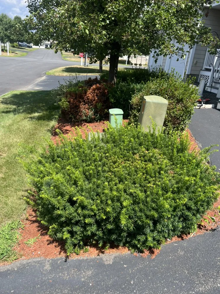 Professional garden landscaping for year-round maintenance across Haverhill, MA - New England Custom- Home & Yard