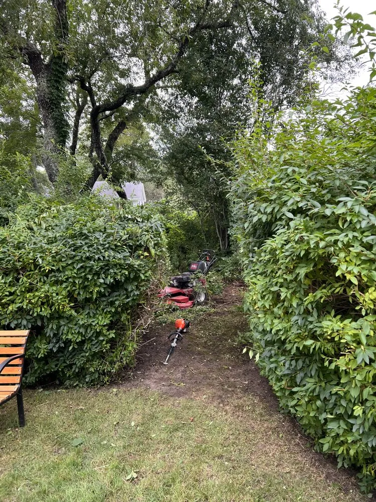 Trusted yard maintenance for homes in Wareham, MA by New England Landscape and Design