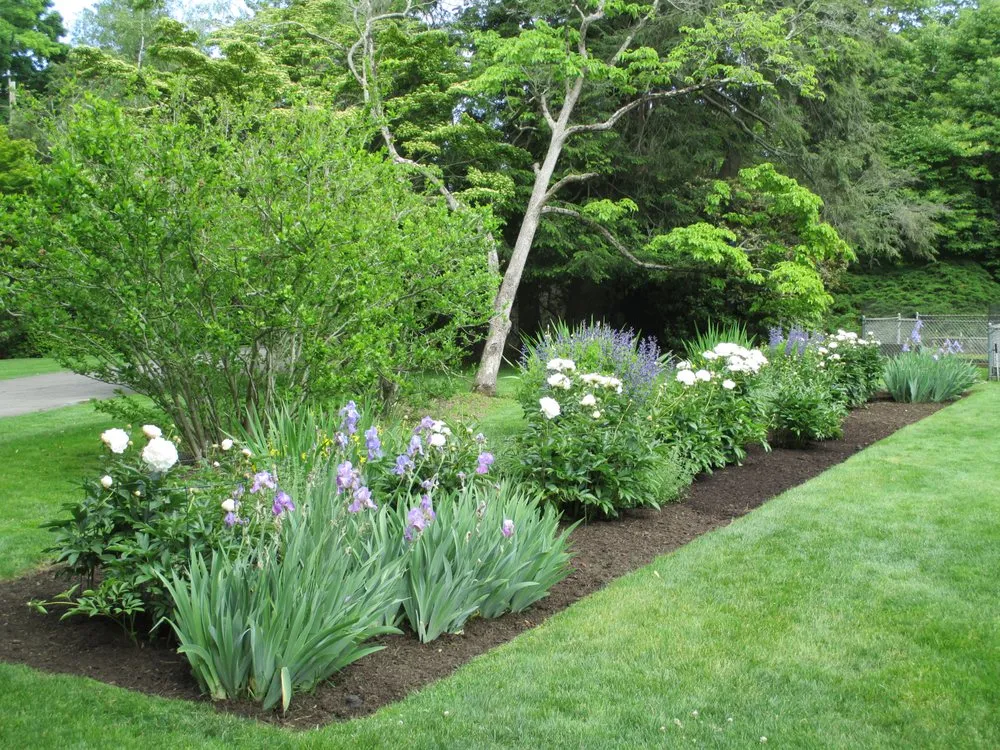 Affordable garden landscaping for year-round maintenance in Fairfield, CT by New England Landscaping