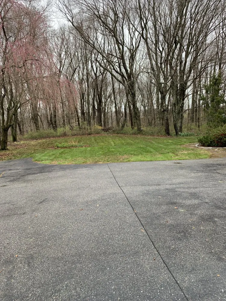 Local landscape design for year-round maintenance in Colchester, CT by New England Lawn Care & Construction