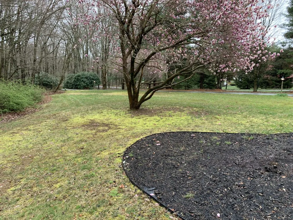 Top-rated lawn care service in Colchester, CT - New England Lawn Care & Construction