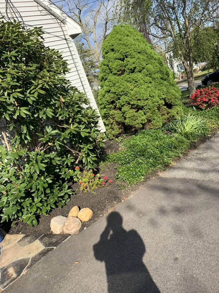 Reliable landscaping services near you in Colchester, CT by New England Lawn Care & Construction