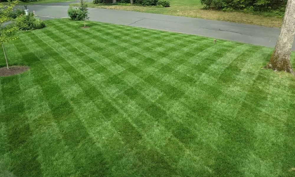 Affordable residential landscaping experts serving Simsbury, CT - New England Lawn Services