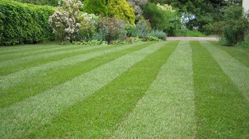 Professional lawn mowing service for homes across Lyndonville, VT - New England Mowing